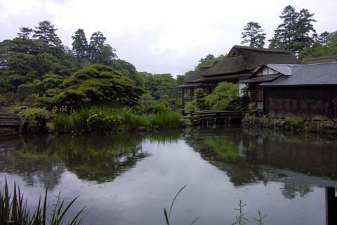 hikonegarden
