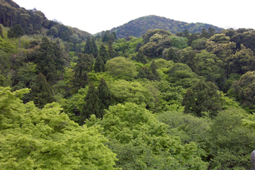 14-kiyomizu1