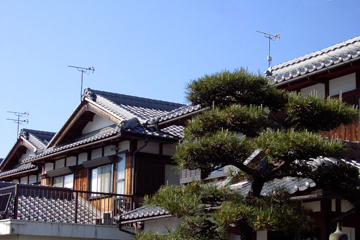 37-hikonehomes