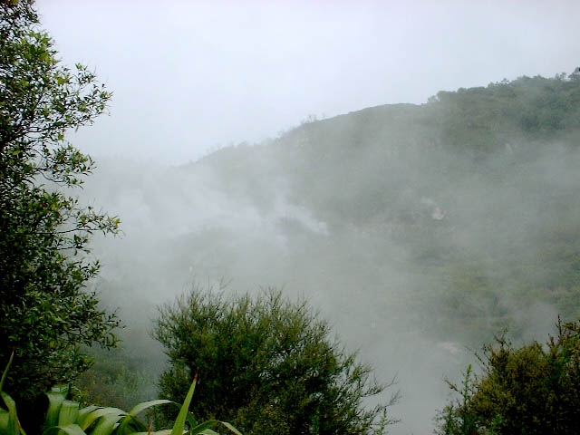 rotorua1