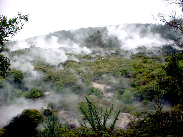 rotorua3
