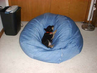 0130c-beanbag3