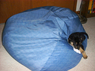 014-beanbag-edge