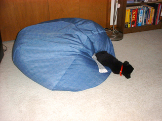 016-beanbag-falling