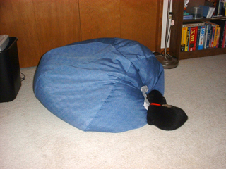 017-beanbag-fell