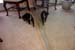 010-mirror6